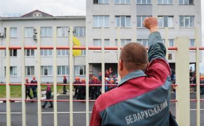 Александр Лукашенко - Bloomberg: Санкции ЕС могут затронуть белорусские калийные удобрения - eadaily.com - Минск
