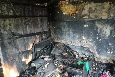 Из-за смерти девочки после пожара в Тверской области возбудили уголовное дело - tver.mk.ru - Тверская обл. - Ржев