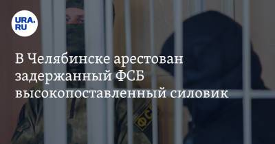 В Челябинске арестован задержанный ФСБ высокопоставленный силовик - ura.news - Челябинская обл. - Челябинск