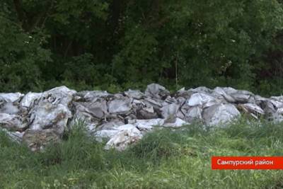 После видео в соцсетях был ликвидирован незаконный скотомогильник в Сампурском районе - tambov.mk.ru - Тамбовская обл. - Экология