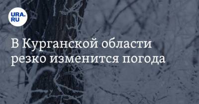 В Курганской области резко изменится погода - ura.news - Курганская обл.