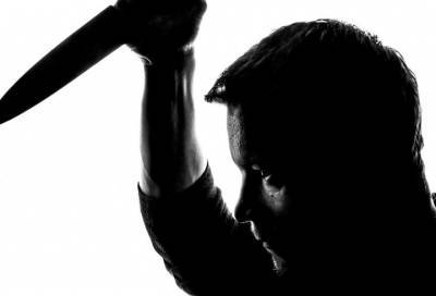 В Петербурге постоялец хостела всадил нож в грудь своего соседа - online47.ru - Красноярский край - Ленинградская обл. - Санкт-Петербург