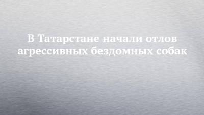В Татарстане начали отлов агрессивных бездомных собак - chelny-izvest.ru - респ. Татарстан - Нижнекамск