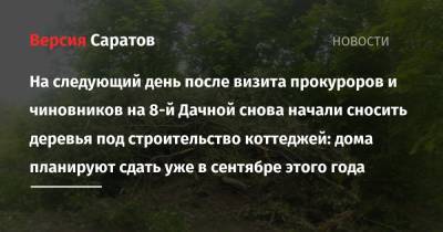 Валерий Радаев - На следующий день после визита прокуроров и чиновников на 8-й Дачной снова начали сносить деревья под строительство коттеджей: дома планируют сдать уже в сентябре этого года - nversia.ru - Саратов