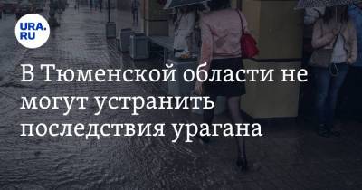 В Тюменской области не могут устранить последствия урагана. Фото - ura.news - Тюмень - Тюменская обл. - Тобольск