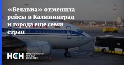 Роман Протасевич - «Белавиа» отменила рейсы в Калининград и города еще семи стран - nsn.fm - Белоруссия - Берлин - Вильнюс - Калининград - Минск - Варшава - Рим - Брюссель - Вена - Амстердам