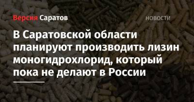 В Саратовской области планируют производить лизин моногидрохлорид, который пока не делают в России - nversia.ru - Саратовская обл. - Курская обл. - Новосибирская обл.
