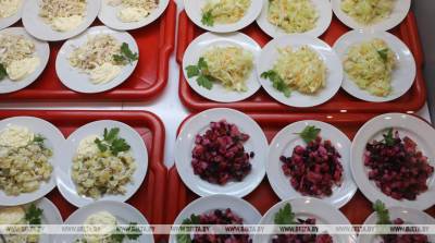 КГК выявил нарушения в организации питания в школах Гродненской области - belta.by - район Новогрудский