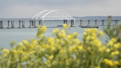 Владимир Кулишов - В ФСБ назвали популизмом угрозы Украины Крымскому мосту - iz.ru