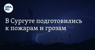 В Сургуте подготовились к пожарам и грозам - ura.news - Сургут