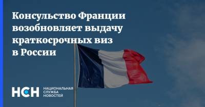 Консульство Франции возобновляет выдачу краткосрочных виз в России - nsn.fm - Москва - Россия - Франция