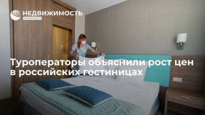 Туроператоры объяснили рост цен в российских гостиницах - realty.ria.ru - Москва - Россия - Отели