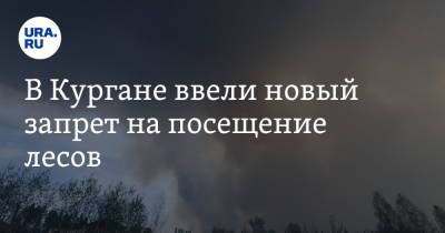 В Кургане ввели новый запрет на посещение лесов - ura.news - Курган