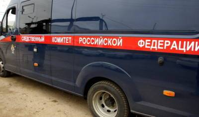 Молодую тюменку обвинили в ложном доносе об изнасиловании - nashgorod.ru - район Ярковский