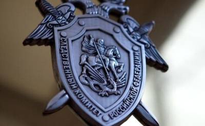 Александр Бастрыкин - СК РФ: Половина поручений властей, связанных с массовым убийством в керченском колледже, так и не выполнена - echo.msk.ru - Казань