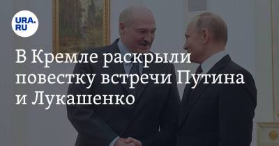 Владимир Путин - Дмитрий Песков - Александр Лукашенко - София Сапеги - В Кремле раскрыли повестку встречи Путина и Лукашенко - ura.news - Минск