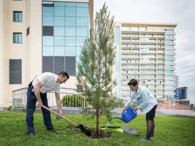 Аллепские сосны появились на приморской набережной Сочи - ecosever.ru - Сочи
