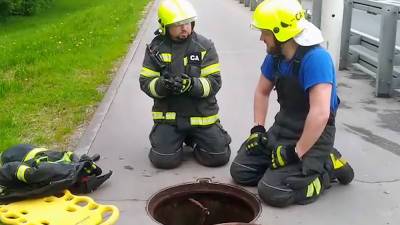 Утенка спасли из коллектора в Москве - tvc.ru - Москва