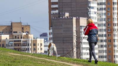 В Подмосковье ввели штрафы за нарушение правил выгула собак - iz.ru - Московская обл.
