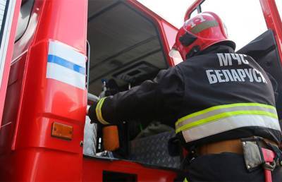 Два человека погибли при пожаре в Лельчицком районе - ont.by - район Лельчицкий