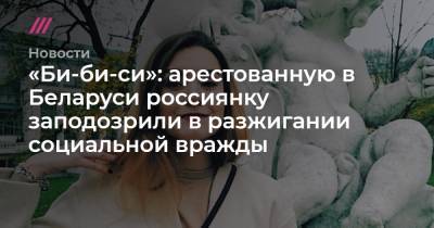 София Сапега - «Би-би-си»: арестованную в Беларуси россиянку заподозрили в разжигании социальной вражды - tvrain.ru - Вильнюс