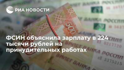 ФСИН объяснила зарплату в 224 тысячи рублей на принудительных работах - ria.ru - Москва - Россия - Белгородская обл. - Волгоградская обл. - Новгородская обл.