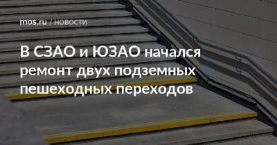 В СЗАО и ЮЗАО начался ремонт двух подземных пешеходных переходов - mos.ru - Москва