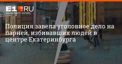 Полиция завела уголовное дело на парней, избивавших людей в центре Екатеринбурга - e1.ru - Екатеринбург