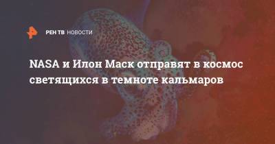 Илон Маск - NASA и Илон Маск отправят в космос светящихся в темноте кальмаров - ren.tv