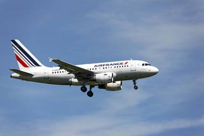 В Air France объяснили отмену рейса из Парижа в Москву - lenta.ru - Москва - Париж