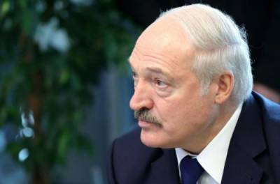Михаил Ходорковский - Лукашенко разоблачен: раскрыта главная тайна вынужденной посадки самолета Ryanair в Минске. ФОТО - from-ua.com - Литва - Минск