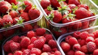 Инна Кононенко - Убийственно вкусные: какие сезонные ягоды и фрукты могут быть смертельно опасны - 5-tv.ru