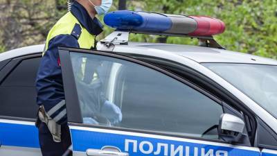 Ребенок и двое взрослых погибли в ДТП с фурой в Ленобласти - iz.ru - Ленинградская обл. - Санкт-Петербург