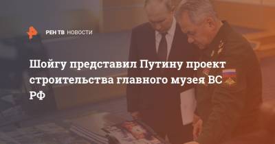 Сергей Шойгу - Владимир Путин - Шойгу представил Путину проект строительства главного музея ВС РФ - ren.tv