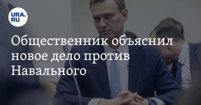 Алексей Навальный - Общественник объяснил новое дело против Навального. «В США он мог бы сесть на полгода» - ura.news