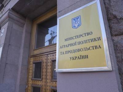 Роман Лещенко - Украинцы, которые десятки раз получали землю, должны вернуть ее государству – глава Минагрополитики - gordonua.com