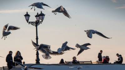 Несанкционированные свалки в Севастополе уберут за 5 млн рублей - crimea.ria.ru - Крым - Севастополь