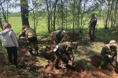 В Тверской области поисковые отряды нашли останки девяти солдат - tver.mk.ru - Тверь - Тверская обл. - Русь - район Старицкий