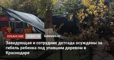 Заведующая и сотрудник детсада осуждены за гибель ребенка под упавшим деревом в Краснодаре - kubnews.ru - Краснодар