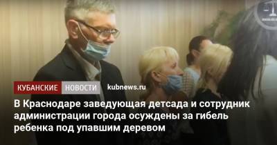 В Краснодаре заведующая детсада и сотрудник администрации города осуждены за гибель ребенка под упавшим деревом - kubnews.ru - Краснодарский край - Краснодар