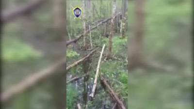 Видео последних мгновений жизни белорусского егеря нашли в его телефоне - vesti.ru - Червень