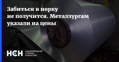 Алексей Заботкин - Забиться в норку не получится. Металлургам указали на цены - nsn.fm