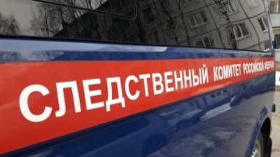 СК возбудил уголовное дело из-за гибели 9-летней девочки после удара током - inforeactor.ru - Курская обл.