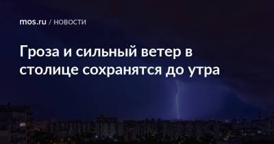 Гроза и сильный ветер в столице сохранятся до утра - mos.ru - Москва