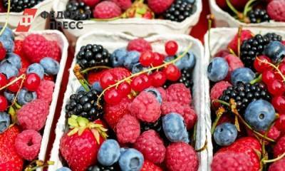 Инна Кононенко - Россиян предостерегли от употребления сезонных фруктов и ягод - fedpress.ru - Москва