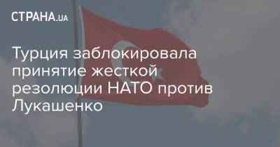 Турция заблокировала принятие жесткой резолюции НАТО против Лукашенко - strana.ua - Белоруссия - Турция - Анкара - Минск