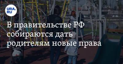 Владимир Груздев - В правительстве РФ собираются дать родителям новые права - ura.news