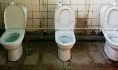 Бренд Domestos запустил конкурс среди российских школ на самый ужасный туалет - og.ru - Чебоксары