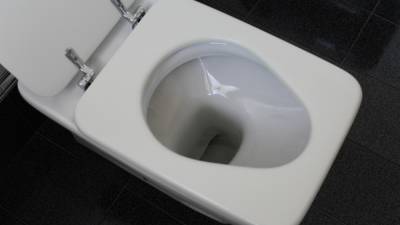Российские школы участвуют в конкурсе на самый плохой туалет - newinform.com - Чебоксары