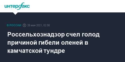 Россельхознадзор счел голод причиной гибели оленей в камчатской тундре - interfax.ru - Москва - Чукотка - Россельхознадзор